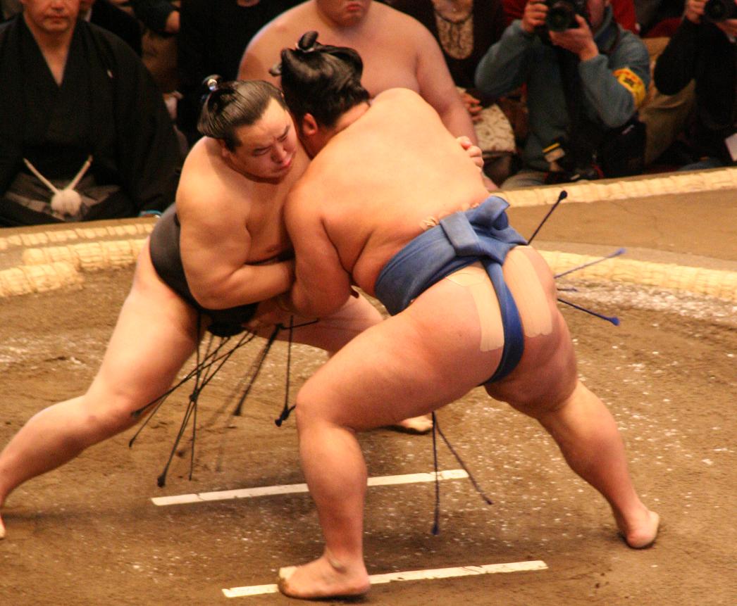 Đấu Sumo ở Nhật Bản