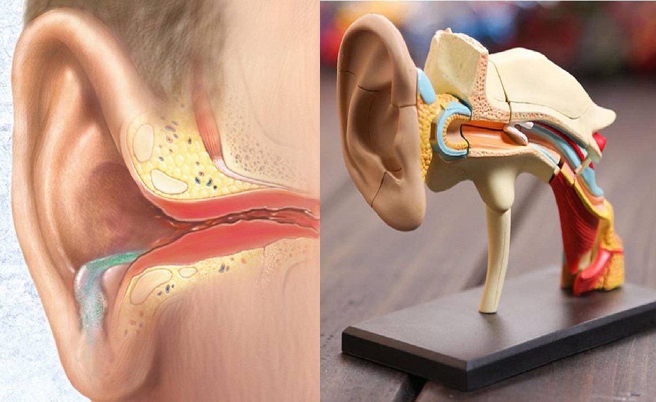 Bệnh viêm tai giữa rất phổ biến với lứa tuổi trẻ em