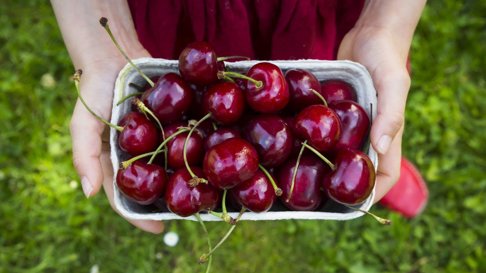 Cherry có lợi cho người tiểu đường