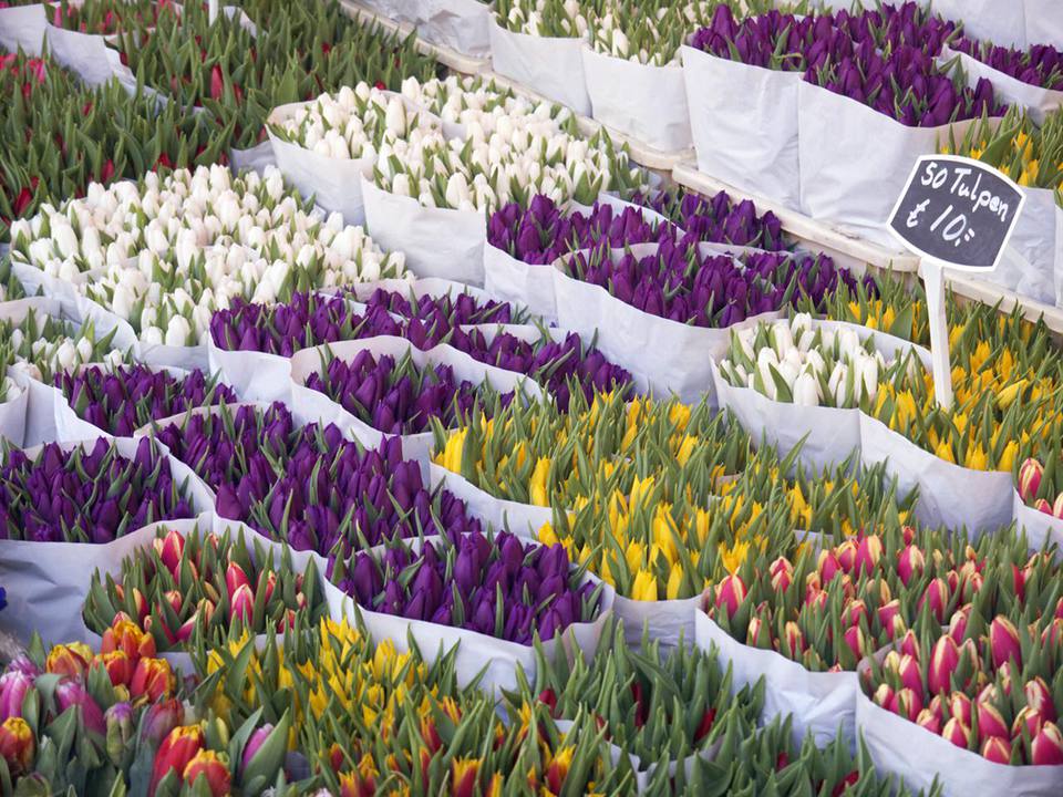 Ghé thăm chợ Bloemenmarkt