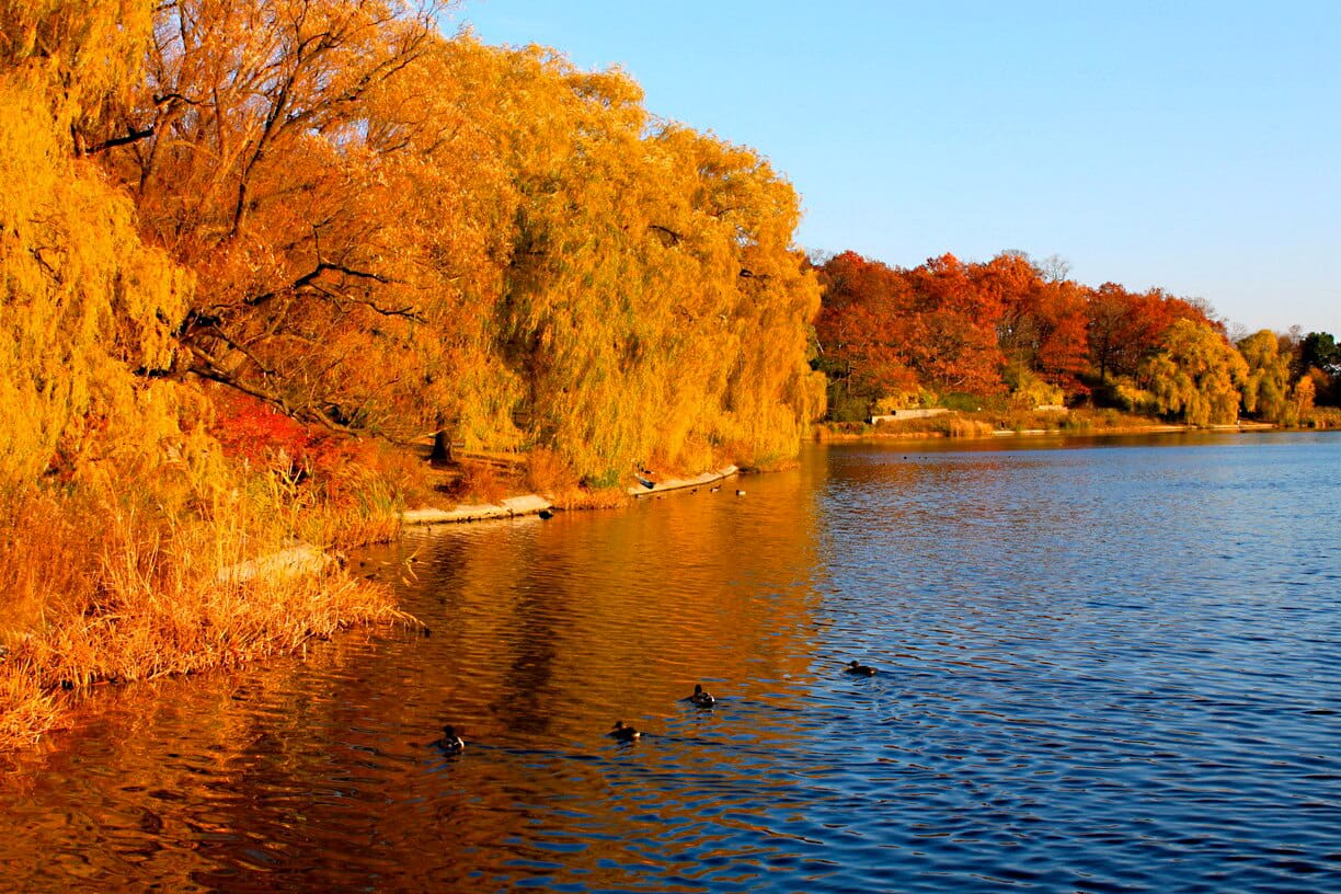 Giới thiệu về Toronto