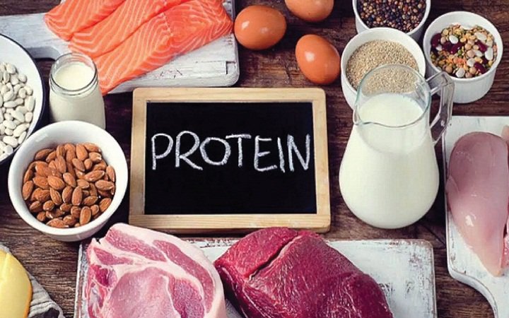 Các loại thực phẩm chứa protein