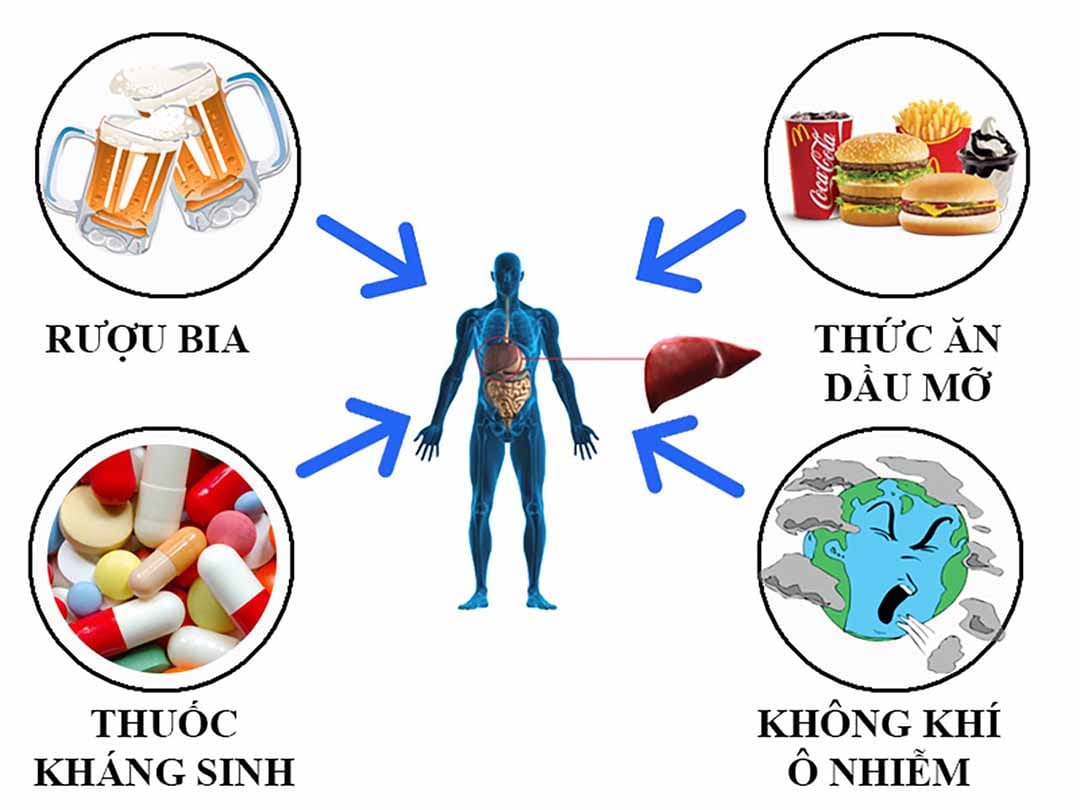 Có rất nhiều nguyên nhân gây mắc bệnh gan nhiễm mỡ